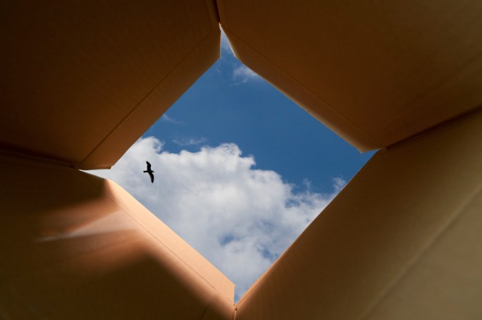 Thinking Outside The Box Concept