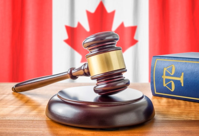 A gavel and a law book - Canada